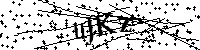 Будь ласка, введіть літери та цифри нижче