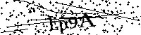 Пожалуйста, введите буквы и числа ниже