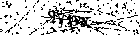Будь ласка, введіть літери та цифри нижче