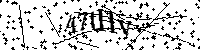 Пожалуйста, введите буквы и числа ниже